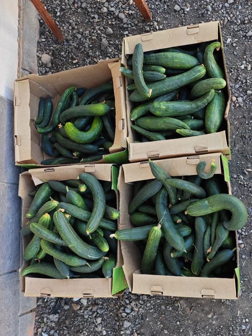 Продуктовая помощь — «ТриДара»