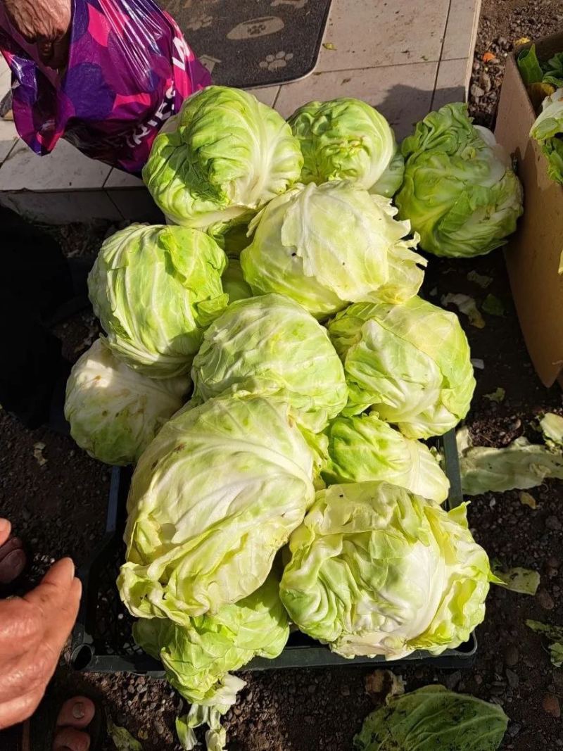 Продуктовая помощь — «ТриДара»