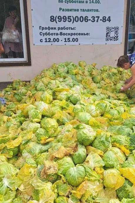 Продуктовая помощь — «ТриДара»