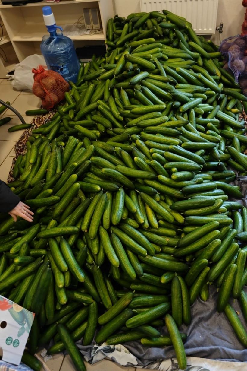 Продуктовая помощь — «ТриДара»