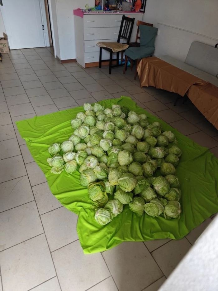Продуктовая помощь — «ТриДара»